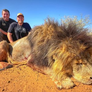 Lion Hunt South Africa