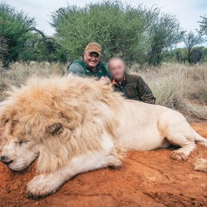 White Lion Hunt South Africa