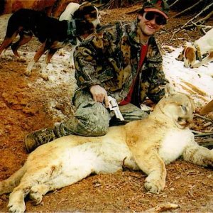 Mountain Lion Hunt