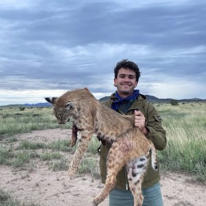 Bobcat Hunt Texas