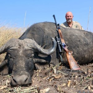 Buffalo Hunt Namibia