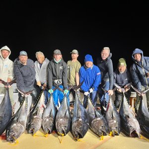 Fishing Bluefin Tuna