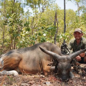 Banteng Hunt Australia