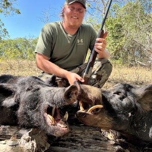 Pig Hunt Australia