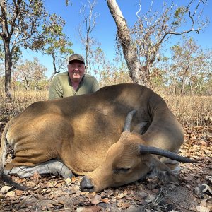 Banteng Hunt Australia