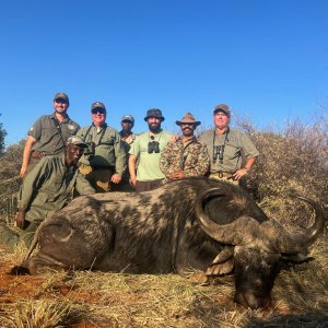 Buffalo Hunt South Africa