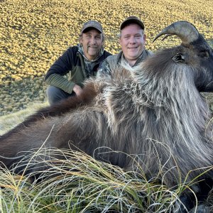 Tahr Hunting