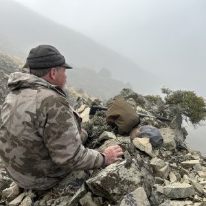 Waiting on the fog to clear Tahr hunting