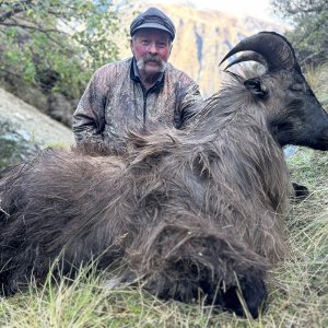 Tahr hunting