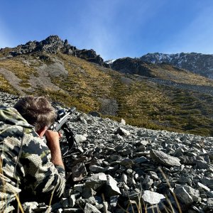 Tahr Hunting New Zealand Safaris