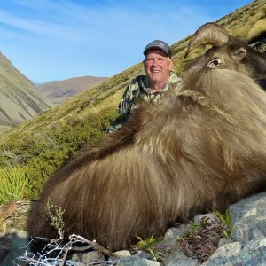 Tahr Hunting private land free range