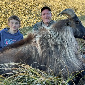 Tahr Hunt New Zealand