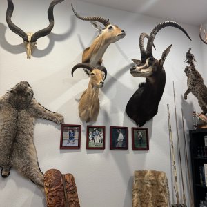 Trophy Room