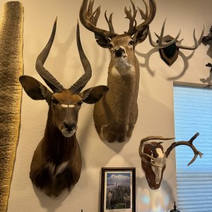 Trophy Room