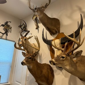 Trophy Room