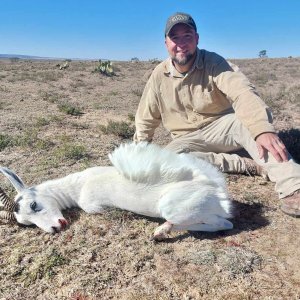 Three Legged Springbok Hunt Eastern Cape South Africa