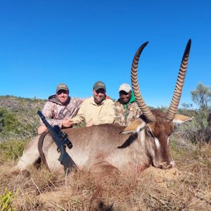 Waterbuck Hunt Eastern Cape South Africa