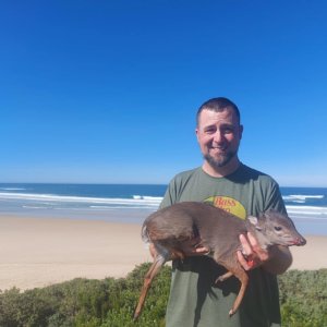 Blue Duiker Hunt Eastern Cape South Africa