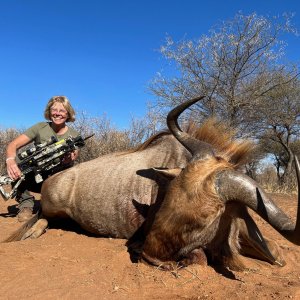 Media 'Golden Wildebeest Bow Hunt' in category 'Bow Hunting Africa'