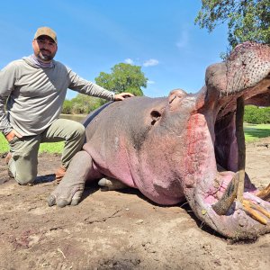 Hippo Hunt Tanzania