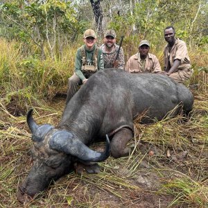 Buffalo Hunt Tanzania