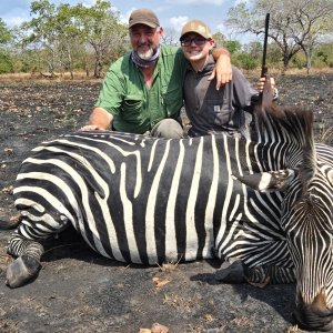 Grant's Zebra Hunt Tanzania