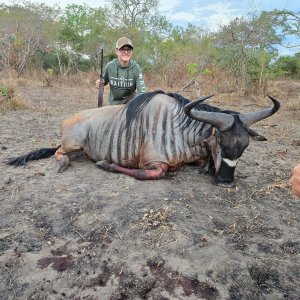 Nyasa Wildebeest Hunt Tanzania