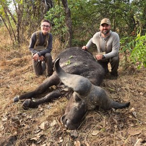 Buffalo Hunt Tanzania