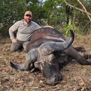 Media 'Buffalo Hunt Tanzania' in category 'Hunting Africa'