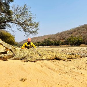 Crocodile Hunt Zambia