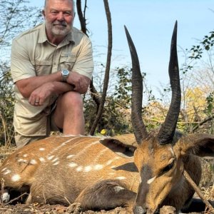 15 inch Chobe Bushbuck Hunt Zambia