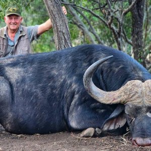 Cape Buffalo Reserve Hunt