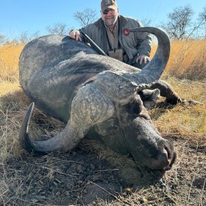 Buffalo Hunt KwaZulu Natal South Africa