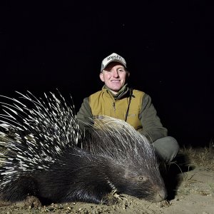 Porcupine Hunt South Africa