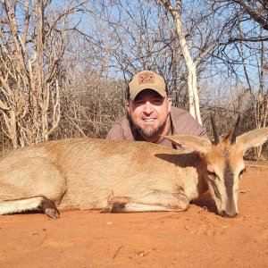 Common Duiker Hunt South Africa