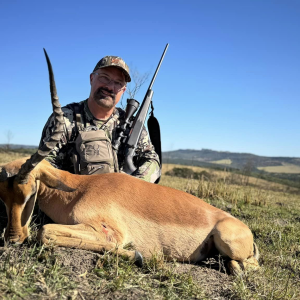 Impala Hunt South Africa