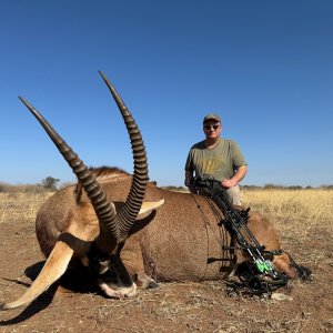 Roan Bow Hunt South Africa