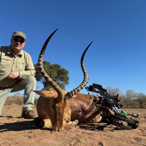 Impala Bow Hunt South Africa