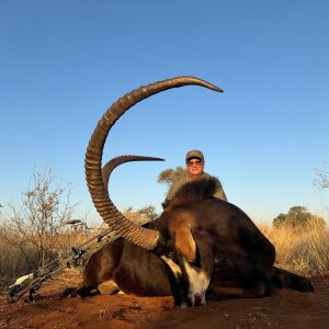 Sable Bow Hunt South Africa