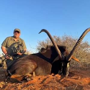 Sable Bow Hunt South Africa