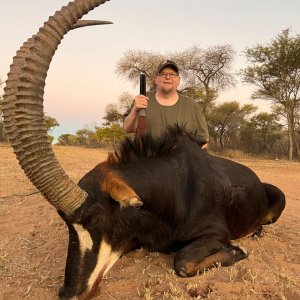 Media '43 Inch Sable Hunt Limpopo South Africa' in category 'Hunting Africa'