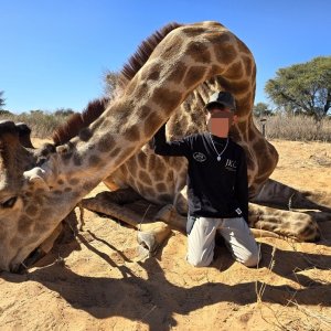 Giraffe Hunt Kalahari South Africa