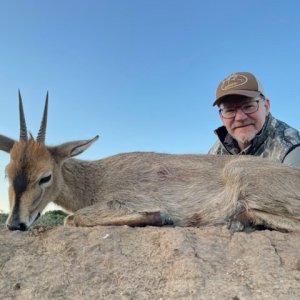 Cape Grey Duiker Hunt