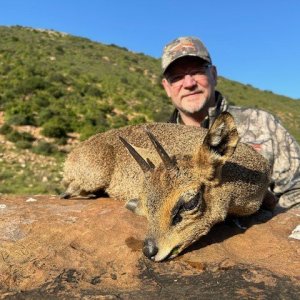 Klipspringer Hunt