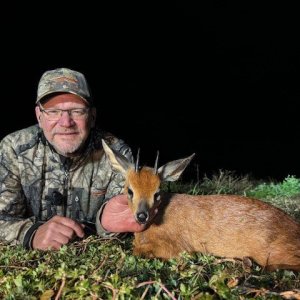 Cape Grysbok Hunt