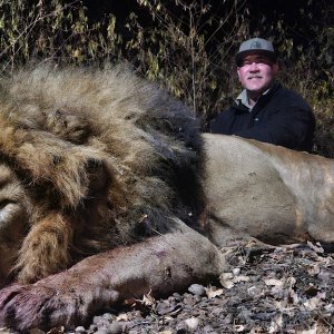 Lion Hunt South Africa