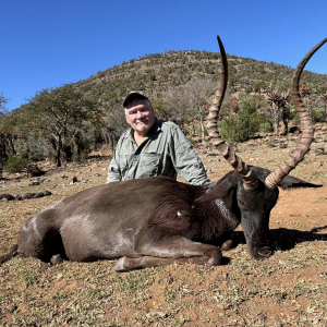 Black Impala Hunt Eastern Cape South Africa