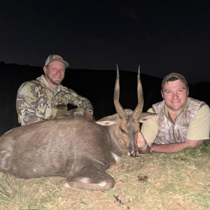 Bushbuck Hunt Eastern Cape South Africa