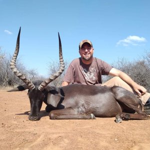 Black Impala Hunt South Africa