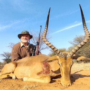 Impala Hunt South Africa